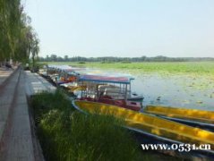 賞荷花吃特色,旅游+餐飲+住宿+采摘+垂釣+會(huì)議