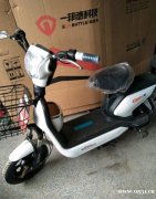 長年出售全新二手電動車 一年內保修
